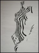 female zebra