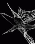 The Aura of a war