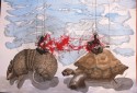 El armadillo y la tortuga