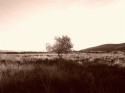desatardecer