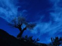 azules