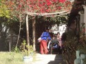Ambientes 2