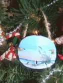 Sand Dollar Ornaments