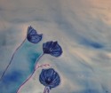 bleue coquelicots