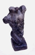 Male Torso