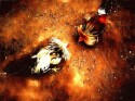 Pelea De Gallos