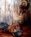 Pelea de Gallos 2