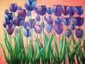 Tulipanes