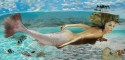 Sirena mia
