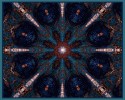 Mandala Lizzard