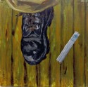 the shoe