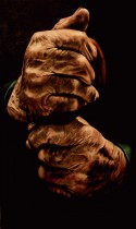 FIRME EN LA LUCHA