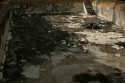 Fallen Angel