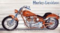 Harley
