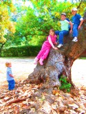 EL ÁRBOL