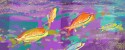 Fish 2