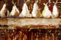 Pears