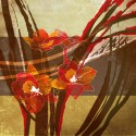 Red flowers
