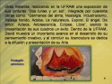 ob.achitl, David Fco Luna Mtz. obra registrada