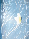 DETALLE4