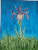 Iris