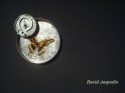 CLOCKWORK-SHELL