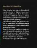 Descripción de la obra