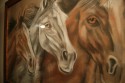 pinturas  recientes