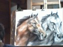 caballos
