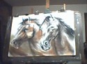 caballos