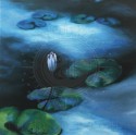 LOTO EN LA NOCHE     40X40