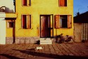 yellow house with little dog