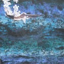 SUMERGIDO     50X50