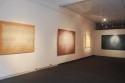 muestrae pinturas -organico? galeria pabellon4