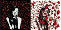 red roses 01