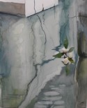 Seaflower 2