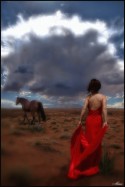 The Untamed