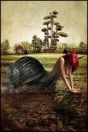 Miss Snail