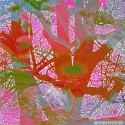 flowerfriendtree