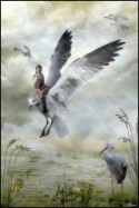 The Messenger