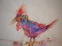 gallo