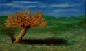 Otoño en Primavera