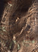texturas