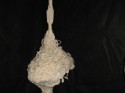 metamorfosis