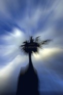 Navegando por los Cielos