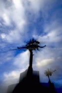 Navegando por los Cielos 2