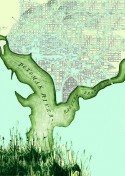 Tree of DC