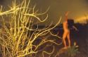 Amarillo 2