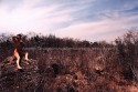 Desierto 1