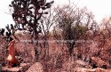 Desierto 3